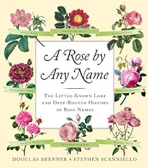 Rose name little for sale  Delivered anywhere in USA 