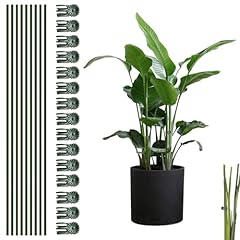 Plant support lot d'occasion  Livré partout en France
