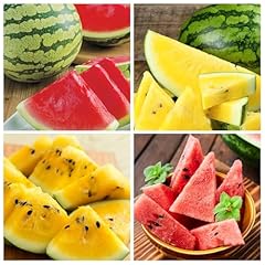 Seed sugar baby for sale  Delivered anywhere in USA 