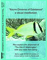 Azure dreams existence d'occasion  Livré partout en France