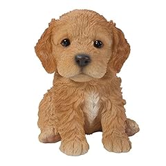 Vivid arts pet d'occasion  Livré partout en France
