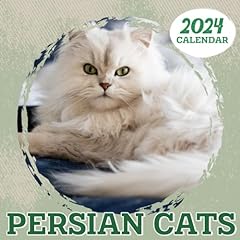 Persian cats calendar for sale  Delivered anywhere in UK