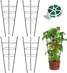 Plant support tomato for sale  Delivered anywhere in USA 