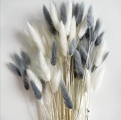 Velafee 100 stems for sale  Delivered anywhere in UK