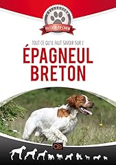 épagneul breton d'occasion  Livré partout en Belgiqu