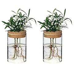 Wangsdjy separated desktop for sale  Delivered anywhere in USA 