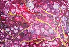 Quadro grapes 100 usato  Spedito ovunque in Italia 