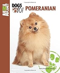 Pomeranian d'occasion  Livré partout en France