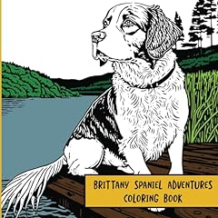Brittany spaniel adventures for sale  Delivered anywhere in UK