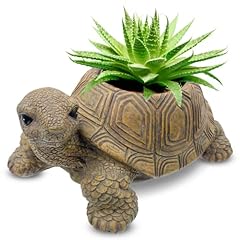 Turtle planter succulents for sale  Delivered anywhere in USA 