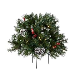 National tree company for sale  Delivered anywhere in USA 