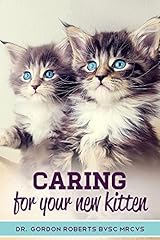 Caring new kitten for sale  Delivered anywhere in USA 