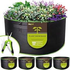 Magarz pack gallon for sale  Delivered anywhere in USA 