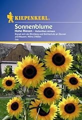 Helianthus sonnenblume hohe gebraucht kaufen  Wird an jeden Ort in Deutschland