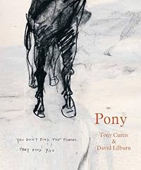 Pony for sale  Delivered anywhere in USA 