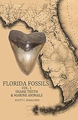 Florida fossils shark for sale  Delivered anywhere in USA 