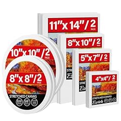 Pack stretched canvases for sale  Delivered anywhere in USA 