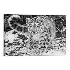 Snow leopard animal for sale  Delivered anywhere in USA 