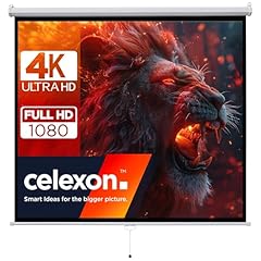 Celexon basic écran d'occasion  Livré partout en France