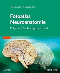 Fotoatlas neuroanatomie präpa gebraucht kaufen  Wird an jeden Ort in Deutschland