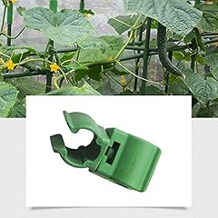 Gwokwai 36pcs plant for sale  Delivered anywhere in USA 