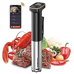 Sous vide cooker for sale  Delivered anywhere in USA 