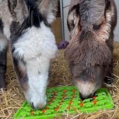 Snuffle treat mat for sale  Delivered anywhere in UK