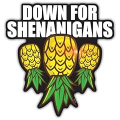 Shenanigans upside pineapple for sale  Delivered anywhere in USA 