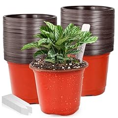 Plant nursery pot for sale  Delivered anywhere in USA 