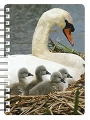 Faithful friends swan for sale  Delivered anywhere in UK