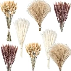 200 pieces pampas for sale  Delivered anywhere in USA 
