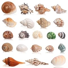 Skoolove 21pcs hermit for sale  Delivered anywhere in UK