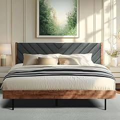 Acacia astoria solid for sale  Delivered anywhere in USA 
