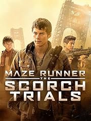Maze runner scorch for sale  Delivered anywhere in USA 