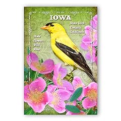 Iowa bird flower for sale  Delivered anywhere in USA 