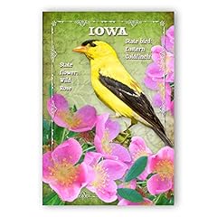 Iowa bird flower for sale  Delivered anywhere in USA 