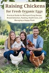 Raising chickens fresh for sale  Delivered anywhere in USA 