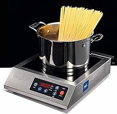 Changbert portable induction for sale  Delivered anywhere in USA 