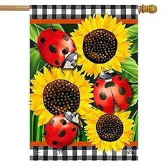 Briarwood lane ladybugs for sale  Delivered anywhere in USA 