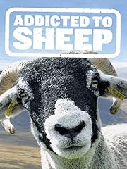 Addicted sheep for sale  Delivered anywhere in UK