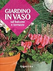 Giardino vaso sul usato  Spedito ovunque in Italia 