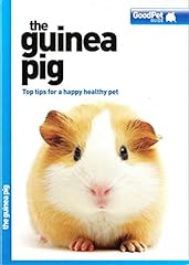 Guinea pig good for sale  Delivered anywhere in UK
