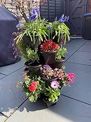 Howsehold strawberry planter for sale  Delivered anywhere in UK