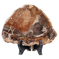 Kyeygwo irregular petrified for sale  Delivered anywhere in UK