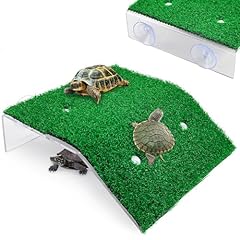 Keedolla lawn turtle for sale  Delivered anywhere in USA 