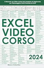 Excel 2024 manuale usato  Spedito ovunque in Italia 