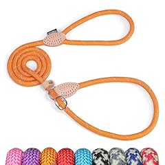 collier laisse cuir chien d'occasion  Livré partout en France