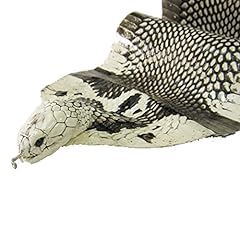 Jie pelle serpente usato  Spedito ovunque in Italia 