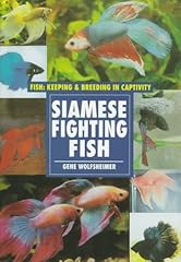 Siamese fighting fish for sale  Delivered anywhere in UK