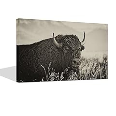 Levvarts animal canvas for sale  Delivered anywhere in USA 